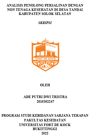 Analisis Penolong Persalinan Dengan Non Tenaga Kesehatan Di Desa Tandai Kabupaten Solok Selatan