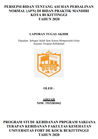 Persepsi Bidan tentang Asuhan Persalinan Normal (APN) di Bidan Praktik Mandiri (BPM) Kota Bukittinggi Tahun 2020