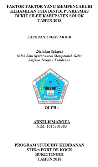 Faktor - Faktor  yang Mempengaruhi Kehamilan Dini di Puskesmas Bukit Sileh Kecamatan Lembang Jaya Kabupaten Solok Tahun 2018
