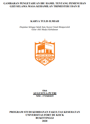 Literature Review : Gambaran Pengetahuan Ibu Hamil Tentang Pemenuhan Gizi Selama Masa Kehamilan Trimester I dan II