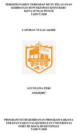Persepsi Pasien Terhadap Mutu Pelayanan Kebidanan di Puskesmas Koto Baru Kota Sungai Penuh Tahun 2020