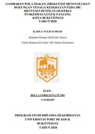 Gambaran Pola Makan, Frekuensi Menyusui Dan Dukungan Tenaga Kesehatan Pada Ibu Menyusui Di Wilayah Kerja Puskesmas Guguk Panjang Kota Bukittinggi Tahun 2020