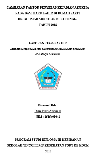 Gambaran Faktor Penyebab Kejadian Asfiksia Pada Bayi Baru Lahir di Rumah Sakit Dr. Achmad Mochtar Bukittinggi Tahun 2018