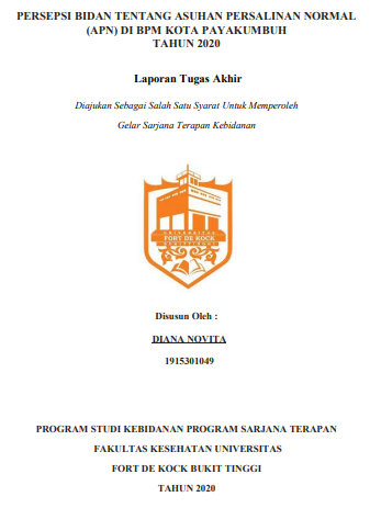 Persepsi Bidan Tentang Asuhan Persalinan Normal (APN) di BPM Kota Payakumbuh Tahun 2020