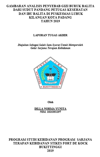 Gambaran Analisis Penyebab Gizi Buruk Balita Dari Sudut pandang Petugas Kesehatan Dan Ibu Balita di Puskesmas Lubuk Kilangan Kota Padang tahun 2019