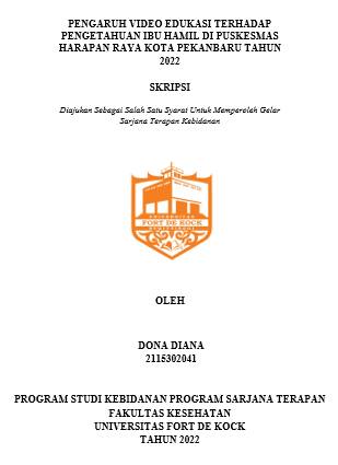 Pengaruh Video Edukasi Terhadap Pengetahuan Ibu Hamil Di Puskesmas Harapan Raya Kota Pekanbaru Tahun 2022