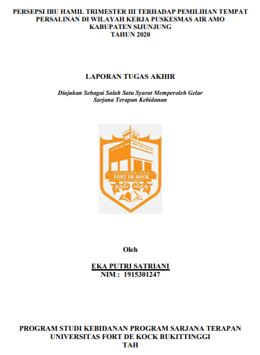 Persepsi Ibu Hamil Trimester III terhadap Pemilihan Tempat Persalinan di Wilayah Kerja Puskesmas Air Amo Kabupaten Sijunjung Tahun 2020