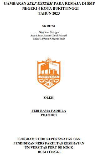Gambaran Self Esteem Pada Remaja Di SMP Negeri 4 Kota Bukittinggi Tahun 2023