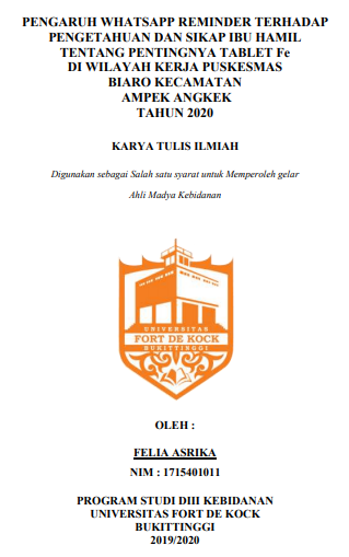 Pengaruh WhatsApp Reminder terhadap Pengetahuan dan Sikap Ibu Hamil tentang Pentingnya Tablet Fe di Wilayah Kerja Puskesmas Biaro Kecamatan Ampek Angkek Tahun 2020
