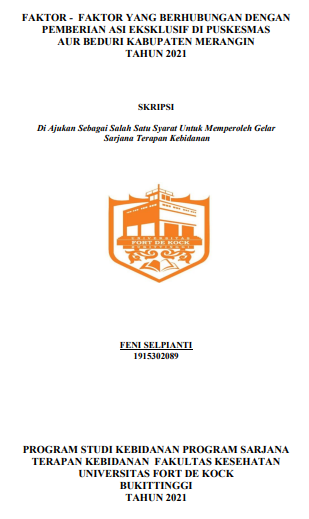 Faktor - Faktor Yang Berhubungan Dengan Pemberian Asi Eksklusif Di Puskesmas Aur Beduri Kabupaten Merangin Tahun 2021