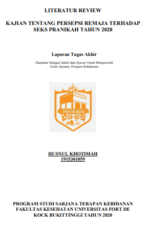 Literature Review : Kajian Tentang Persepsi Remaja terhadap Seks Pranikah Tahun 2020