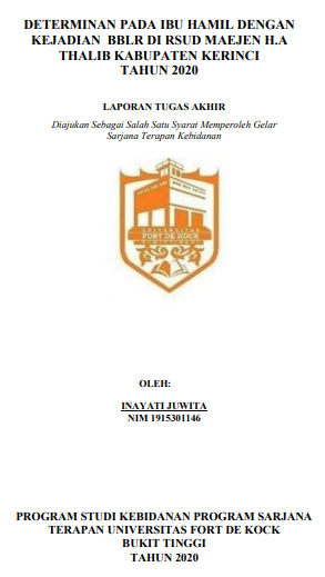 Determinan pada Ibu Hamil dengan Kejadian BBLR Di RSUD Maejen H.A Thalib Kabupaten Kerinci Tahun 2020