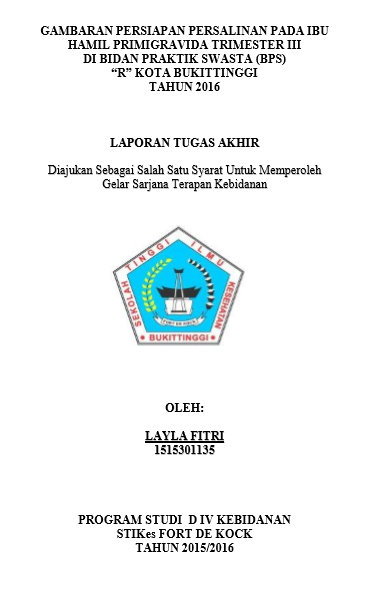 Gambaran Persiapan Persalinan Pada Ibu Hamil Primigravida Trimester III di  Bidan Praktek Swasta (BPS) R Kota Bukittinggi Tahun 2016