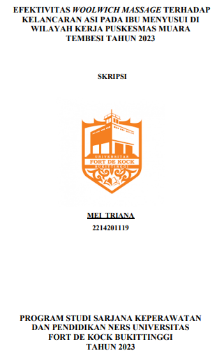 Efektivitas Woolwich Massage Terhadap Kelancaran ASI Pada Ibu Menyusui Di Wilayah Kerja Puskesmas Muara Tembesi Tahun 2023