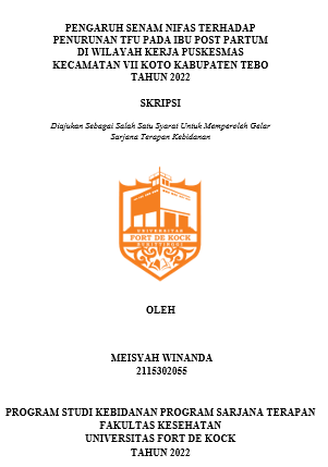 Pengaruh Senam Nifas Terhadap Penurunan TFU Pada Ibu Post Partum Di Wilayah Kerja Puskesmas Kecamatan VII Koto Kabupaten Tebo Tahun 2022