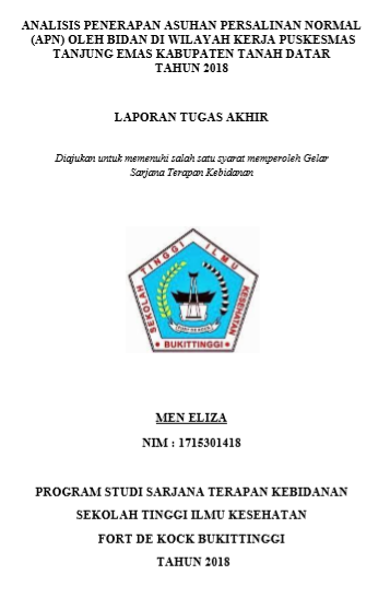 Analisis Penerapan Asuhan Persalinan normal (APN) Oleh Bidan Di Wilayah Kerja Puskesmas Tanjung Emas Kabupaten Tanah Datar Tahun 2018