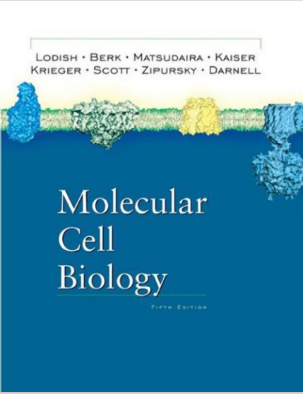 Molecular Cell Biology Fifth Edition