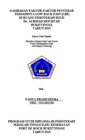 Gambaran Faktor-faktor Penyebab Terjadinya Low  Back Pain (LBP) di Ruang Fisioterapi RSUD Dr. Achmad Mochtar  Bukittinggi Tahun 2015