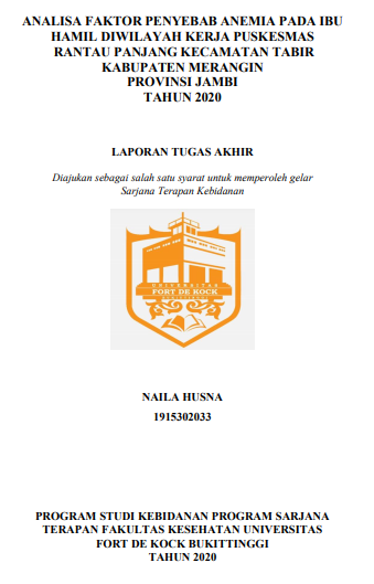 Analisa Faktor Penyebab Anemia Pada Ibu Hamil Diwilayah Kerja Puskesmas Rantau Panjang Kecamatan Tabir Kabupaten Merangin Provinsi Jambi Tahun 2020