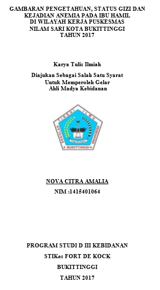 Gambaran Pengetahuan, Status Gizi danKejadian Anemia PadaIbuHamildi  Wilayah Kerja Puskesmas Nilam Sari Kota Bukittinggi Tahun 2017