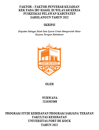 Faktor  Faktor Penyebab Kejadian KEK Pada Ibu Hamil Di Wilayah Kerja Puskesmas Pelawan Kabupaten Sarolangun Tahun 2022