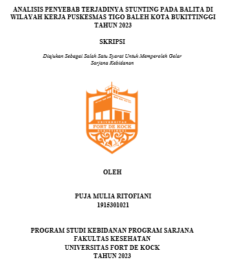 Analisis Penyebab Terjadinya Stunting Pada Balita Di Wilayah Kerja Puskesmas Tigo Baleh Kota Bukittinggi Tahun 2023