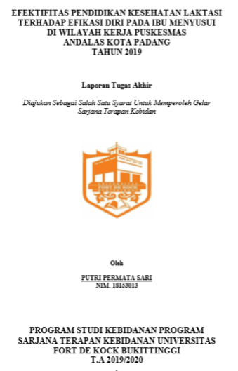 Efektifitas Pendidikan Kesehatan Laktasi Terhadap Efikasi Diri Pada Ibu Primi di Wilayah Kerja Puskesmas Andalas Kota Padang Tahun 2020