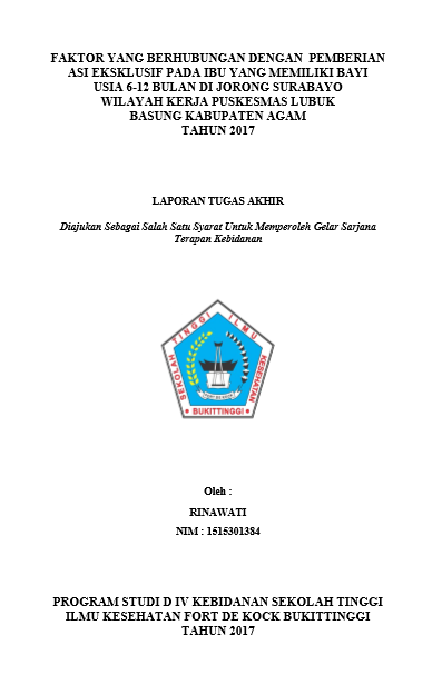 Faktor Yang Berhubungan Dengan Pemberian ASI Eksklusif Pada Ibu Yang Memiliki Bayi Usia 6-12 Bulan DI Jorong Surabayo Wilayah Kerja Puskesmas Tahun 2017