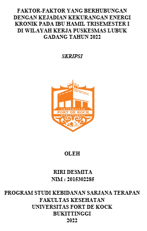 Faktor-Faktor Yang Berhubungan Dengan Kejadian Kekurangan Energi Kronik Pada Ibu Hamil Trisemester I Di Wilayah Kerja Puskesmas Lubuk Gadang Tahun 2022