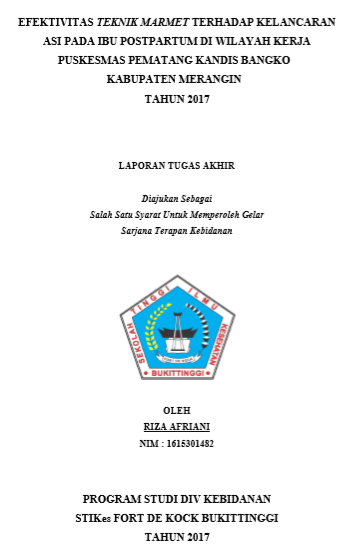Efektivitas Teknik Marmet Terhadap Kelancaran Asi Pada Ibu Postpartum Di Wilayah Kerja Puskesmas Pematang Kandis Bangko Kabupaten Merangin Tahun 2017