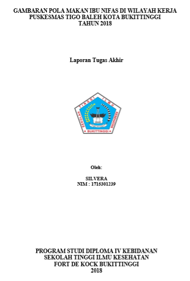 Gambaran Pola Makan Pada Ibu Nifas Di Wilayah Kerja Puskesmas Tigo Baleh Dikota Bukittinggi Tahun 2018