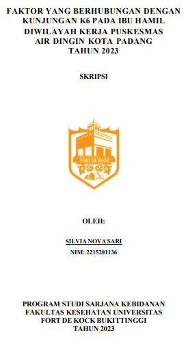 Faktor Yang Berhubungan Dengan Kunjungan K6 Pada Ibu Hamil Diwilayah Kerja Puskesmas Air Dingin Kota Padang Tahun 2023