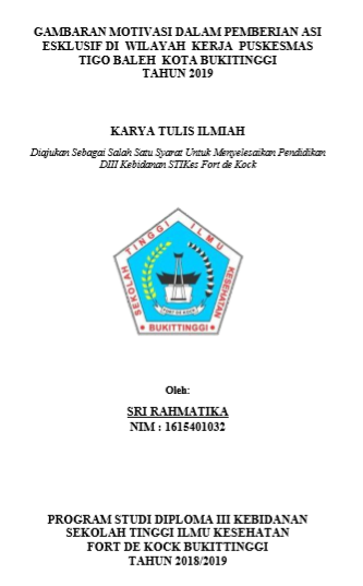 Gambaran Motivasi Dalam Pemberian ASI Eksklusif di Wilayah Kerja Puskesmas Tigo Baleh Kota Bukittinggi pada tahun 2019