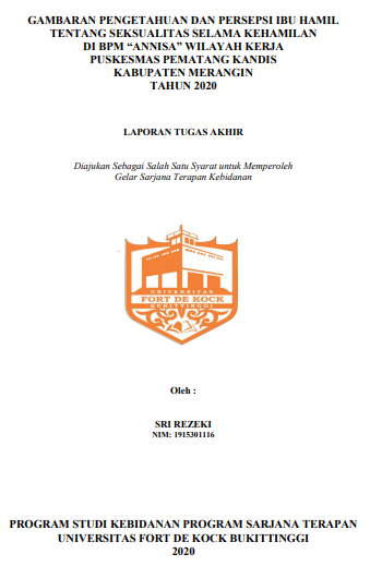 Gambaran Pengetahuan dan Persepsi Ibu Hamil Tentang Seksualitas Selama Kehamilan di BPM Annisa Wilayah Kerja Puskesmas Pematang Kandis Kabupaten Merangin Tahun 2020