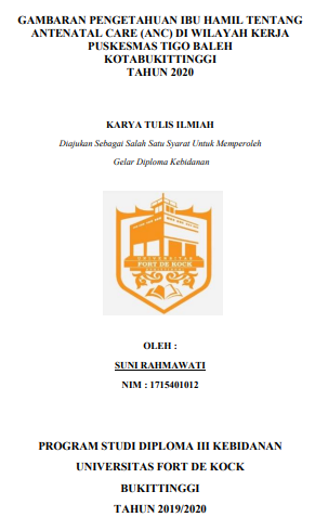 Gambaran Pengetahuan Ibu Hamil Tentang Antenatal Care Di Wilayah Kerja Puskesmas Tigo Baleh Kota Bukittinggi Tahun 2020