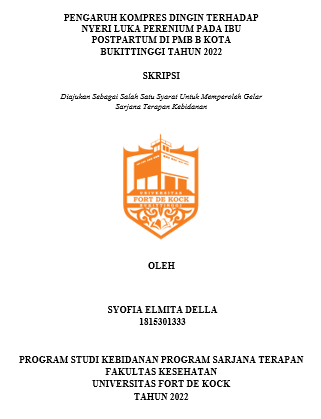 Pengaruh Kompres Dingin Terhadap Nyeri Luka Perenium Pada Ibu Postpartum Di PMB B Kota Bukittinggi Tahun 2022
