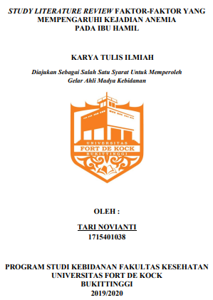 Literature Review : Faktor-Faktor Yang Mempengaruhi Kejadian Anemia Pada Ibu Hamil di Indonesia