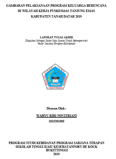 Gambaran  Pelaksanaan Program di Wilayah Kerja Puskesmas Tanjung Emas Kabupaten Tanah Datar Tahun 2019