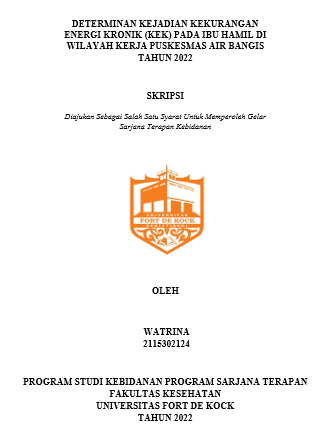 Determinan Kejadian Kekurangan Energi Kronik (KEK) Pada Ibu Hamil Di Wilayah Kerja Puskesmas Air Bangis Tahun 2022