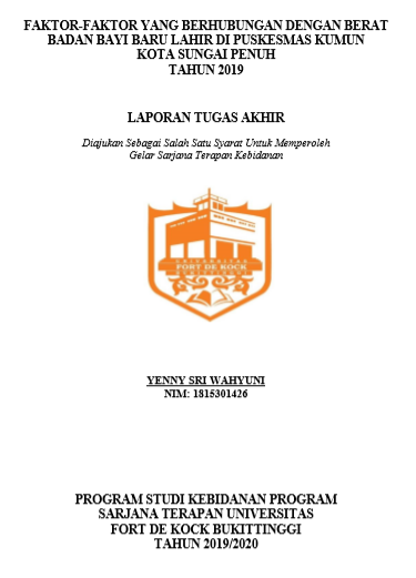 Faktor-Faktor  yang Berhubungan dengan Berat Badan Bayi Baru Lahir di Puskesmas Kumun Kota Sungai Penuh Tahun 2019