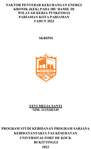 Faktor Penyebab Kekurangan Energi Kronik (KEK) Pada Ibu Hamil Di Puskesmas Pariaman Kota Pariaman Tahun 2023