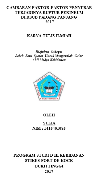 Gambaran  Faktor-Faktor  Penyebab Kejadian Ruptur Perinium di RSUD Padang Panjang Tahun  2017