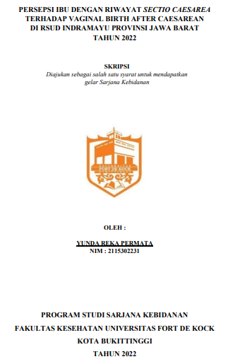 Persepsi Ibu Riwayat Sectio Caesarea Terhadap Vaginal Birth After Caesarean di RSUD Indramayu Tahun 2022