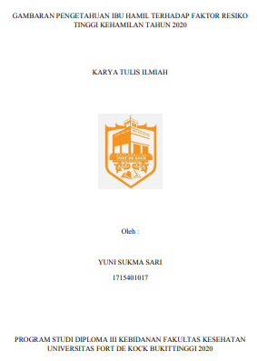 Literature Review : Gambaran Pengetahuan Ibu Hamil Terhadap Faktor Resiko Tinggi Kehamilan Tahun 2020